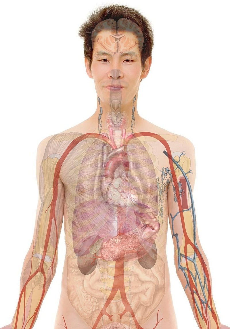 Body Awareness